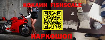 спиды Аргун