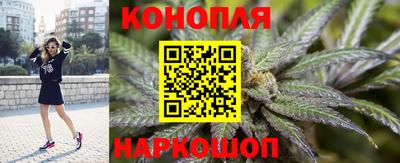 спиды Аргун