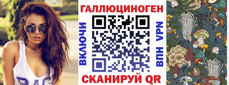 Псилоцибиновые грибы мицелий  хочу наркоту  Борисоглебск 