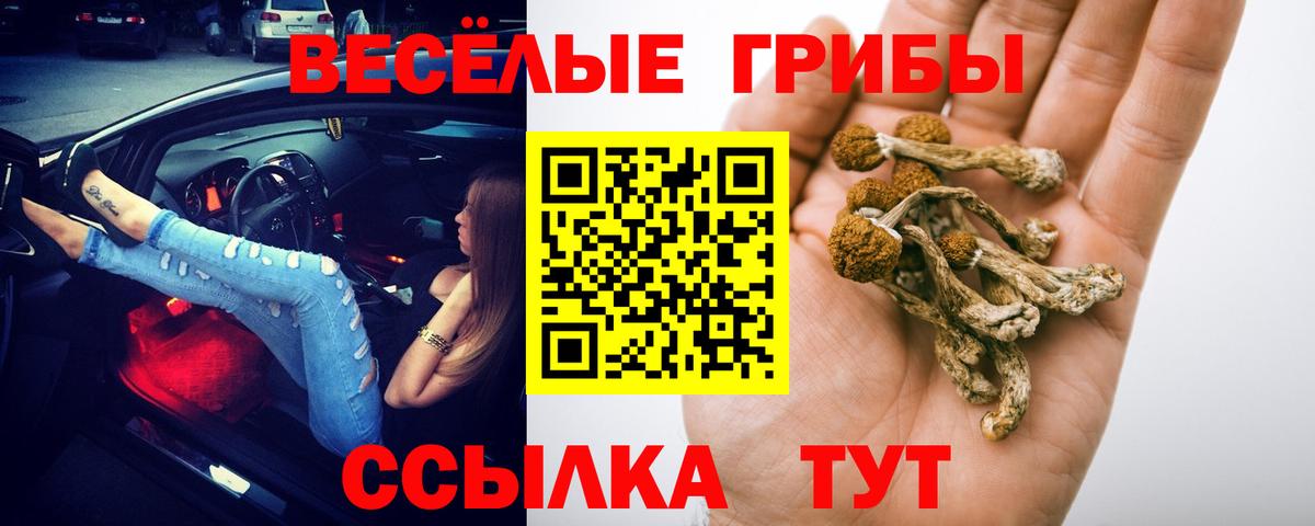 Борисоглебск  Псилоцибиновые грибы мицелий  Вход с VPN 