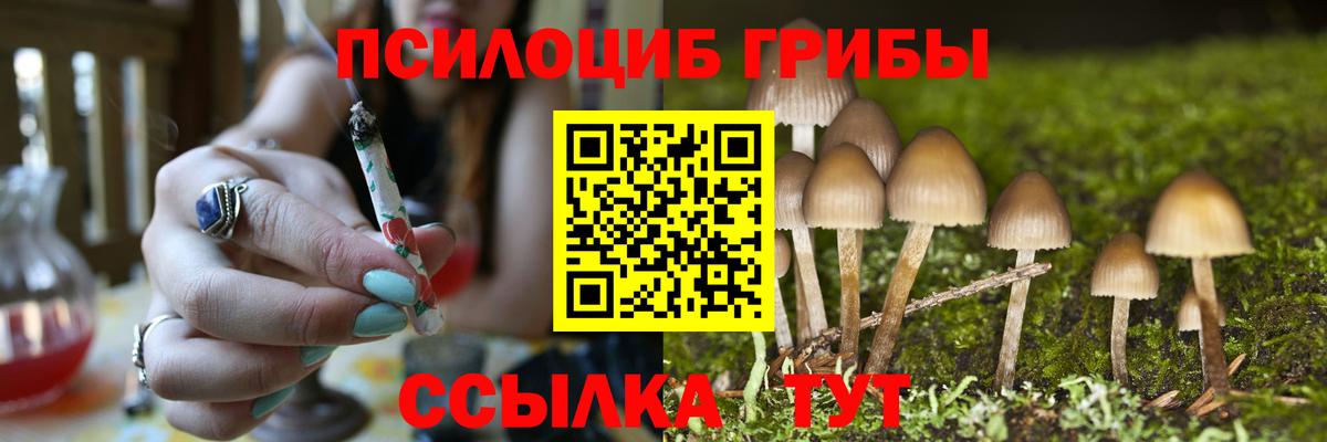 Псилоцибиновые грибы Magic Shrooms  Псилоцибиновые грибы MAGIC MUSHROOMS  Борисоглебск 